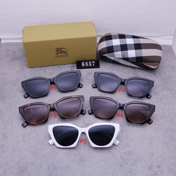 Sunglasses With Box L40